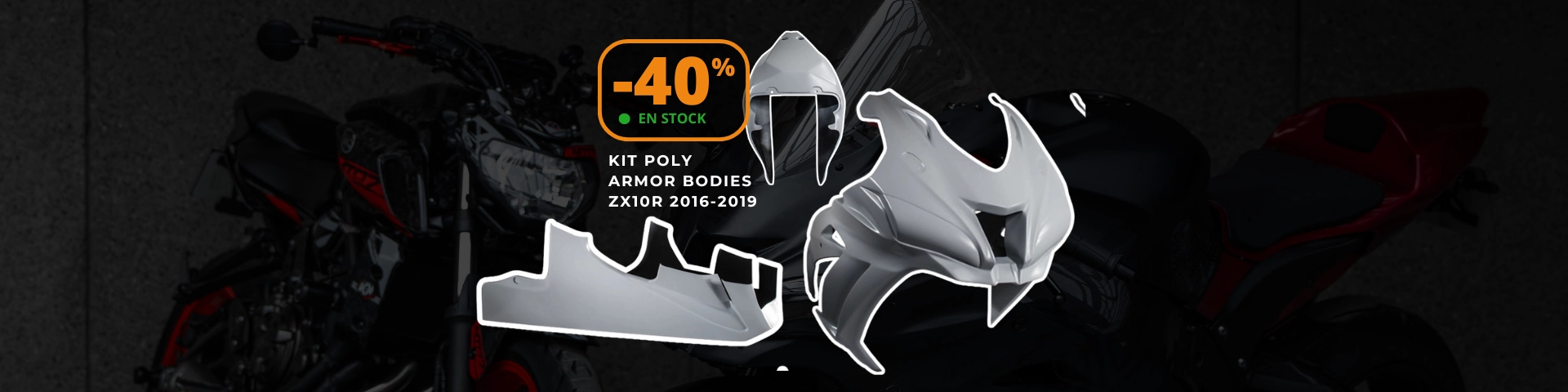 Fairing Kit FlexoResin Fiber Primered KAWASAKI ZX10R 2016-2019