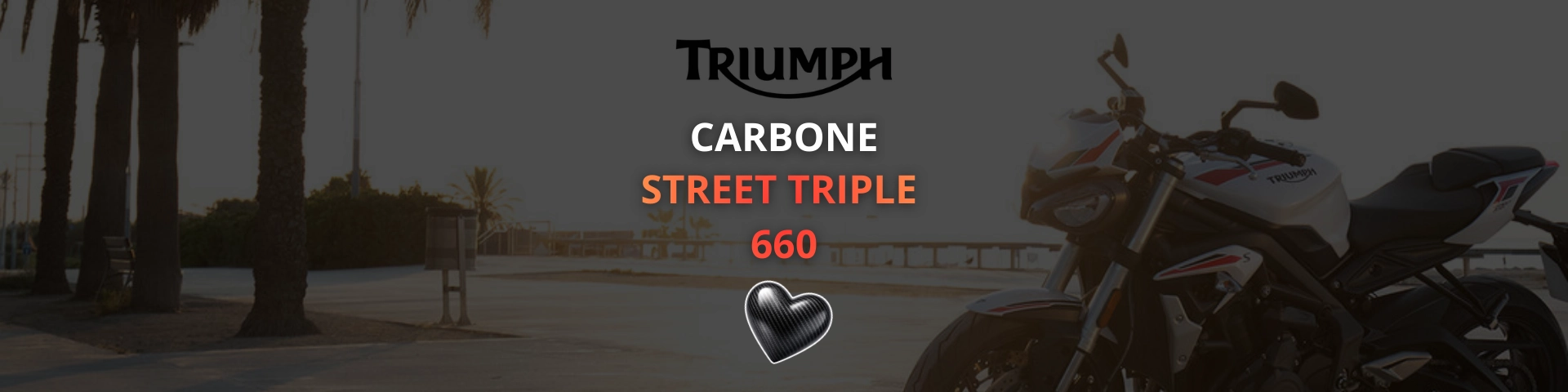 carbone triumph street triple