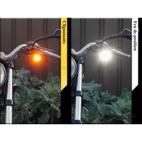 Paire de clignotants universels