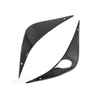 Paire de caches réservoir carbone mv agusta f4 750 1000 1999-2009