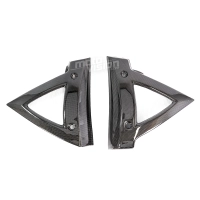 Ecopes de radiateur carbone suzuki b-king