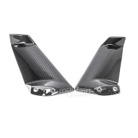 Ecopes sur tête de fourche carbone vernis pour kawasaki h2