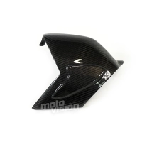 Protection de bras oscillant type origine  carbone vernis ducati panigale v4