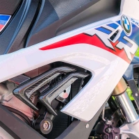 Ecopes latérales carbone vernis bmw s1000rr 2019-2021