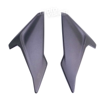 Paire de flancs carbone vernis bmw s1000r 2017-2020