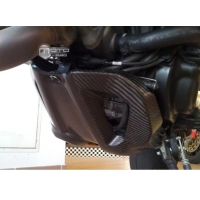 Sabot carbone ducati hypermotard 2013-