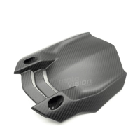 Lèche roue carbone yamaha mt10 2017