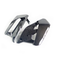 Ecopes latérales carbone pour ducati monster 797