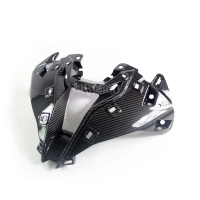 Cache entrée d'air carbone vernis pour bmw s1000rr 2019-