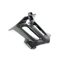 Support de plaque  carbone vernis bmw s1000xr 2015-2019