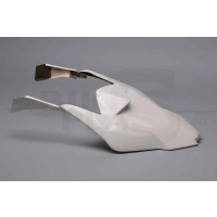 Coque poly origine bikesplast bmw s1000rr 2009-2011