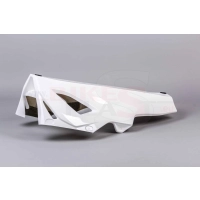 Sabot poly bikesplast bmw s1000rr 2019-2020