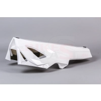 Sabot poly bikesplast bmw s1000rr 2019-2020