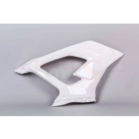 Flanc droit poly bikesplast bmw s1000rr 2019 - 2020