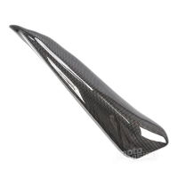 Paire de caches silencieux thermiques. carbone ducati hypermotard