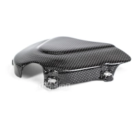 Cache pignon carbone aprilia rsv 1000 04-08