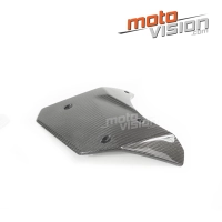 Ecopes centrales carbone vernis kawasaki ninja h2 15/17