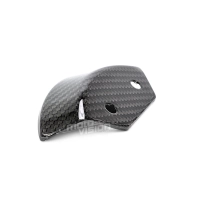 Protection moteur carbone vernis pour kawasaki h2