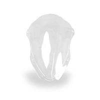 Bulle transparente kawasaki zx10r 2016-2020