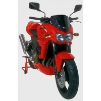 Bulle ermax kawasaki z 750 2004-2006