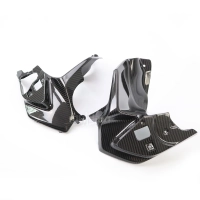 Paire avant flancs de carénage carbone bmw r1200gs 2020 -