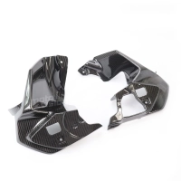 Paire avant flancs de carénage carbone bmw r1200gs 2020 -