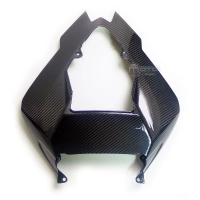 Coque carbone bmw s1000 rr 2009-2011