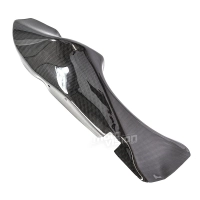 Paire de cache canaux d'airs carbone ducati 748 916 996 998