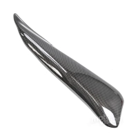 Paire de caches silencieux thermiques. carbone ducati hypermotard