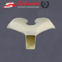 Entrée d'air poly sebimoto ducati 1299 panigale