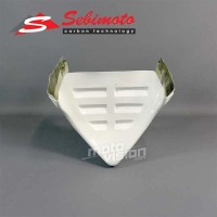 Partie inférieure poly sebimoto yamaha fzr 600 r 1994-1995