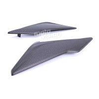 Paire de flancs carbone vernis bmw s1000r 2017-2020
