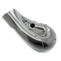 Protection de ligne carbone vernie ducati 1199 panigale
