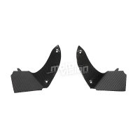 Ecopes sur tête de fourche carbone vernis pour bmw k1200s
