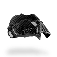 Cache pignon carbone ducati hypermotard 698 2024-
