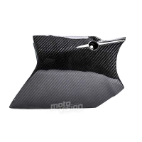 Sabot carbone ktm superduke 990 2005-2013