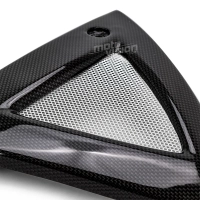 Ecopes de radiateur carbone suzuki b-king