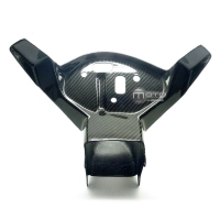 Araignée avec conduit d'air en carbone bmw s1000rr