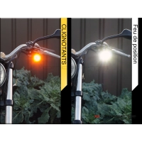 Paire de clignotants universels