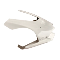 Tête de fourche poly racing bikesplast kawasaki zx10r 2021-