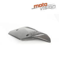 Ecopes centrales carbone vernis kawasaki ninja h2 15/17