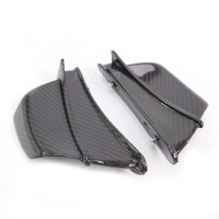 Ailettes carbone vernis pour bmw s1000rr s1000r