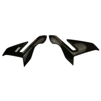 Flancs de carénage carbone bmw s1000r 2021-