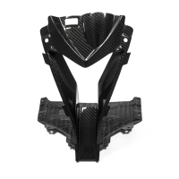 Entrée d'air avant carbone bmw s1000rr 2015 - 2018