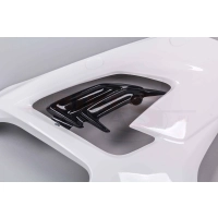 Flanc droit poly bikesplast bmw s1000rr 2019 - 2020