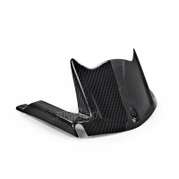 Lèche roue carbone kawasaki zx10r 2011-2019