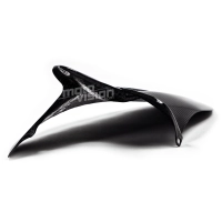 Lèche roue carbone ducati monster 796 1100