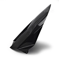 Lèche roue carbone kawasaki zx10 zx10r 2004-2005