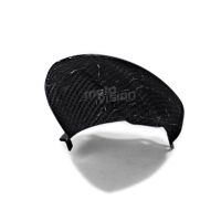 Lèche roue carbone triumph speed triple 2011