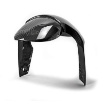 Garde boue carbone triumph speed street triple et daytona 675 2006-2016